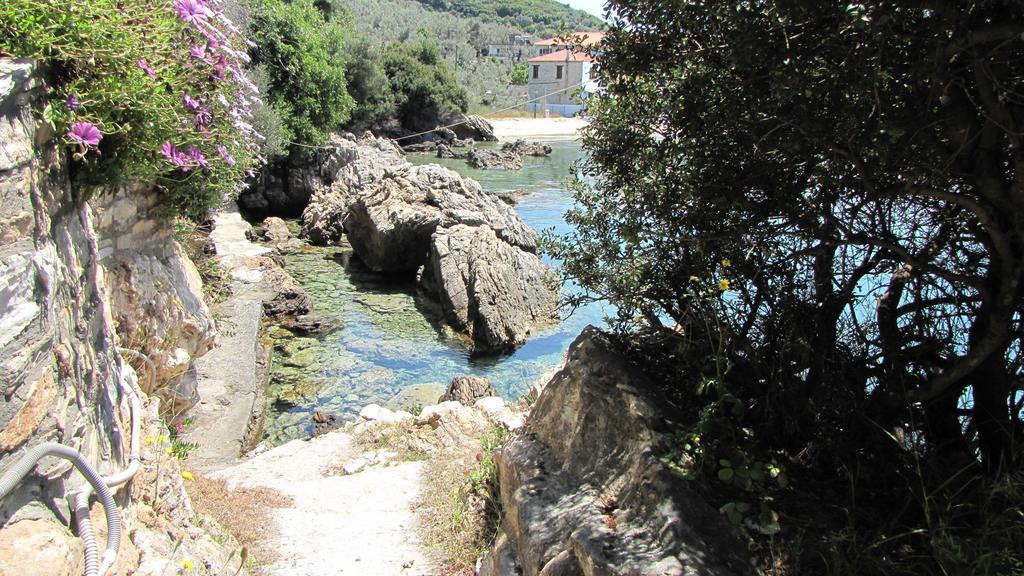 Notus Villa Khórto Dış mekan fotoğraf